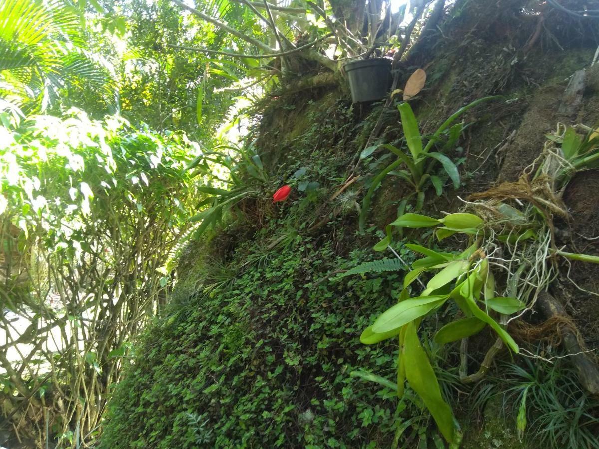 Kitnet E Suite Morada Aguiar - Chale Abraão Exterior foto